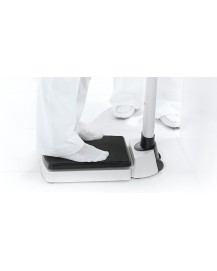 seca 704r Säulenskala mit RS232-Schnittstelle