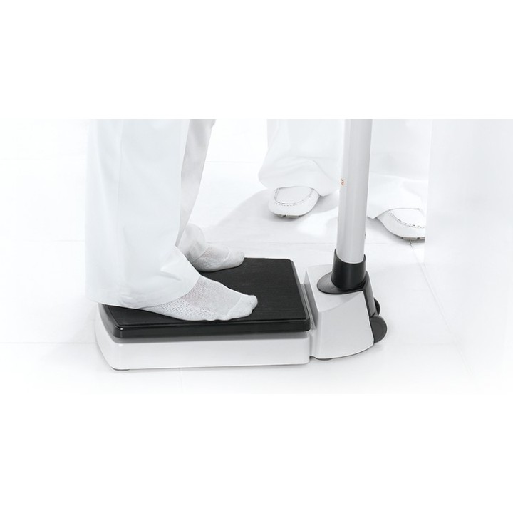 seca 704r Säulenskala mit RS232-Schnittstelle