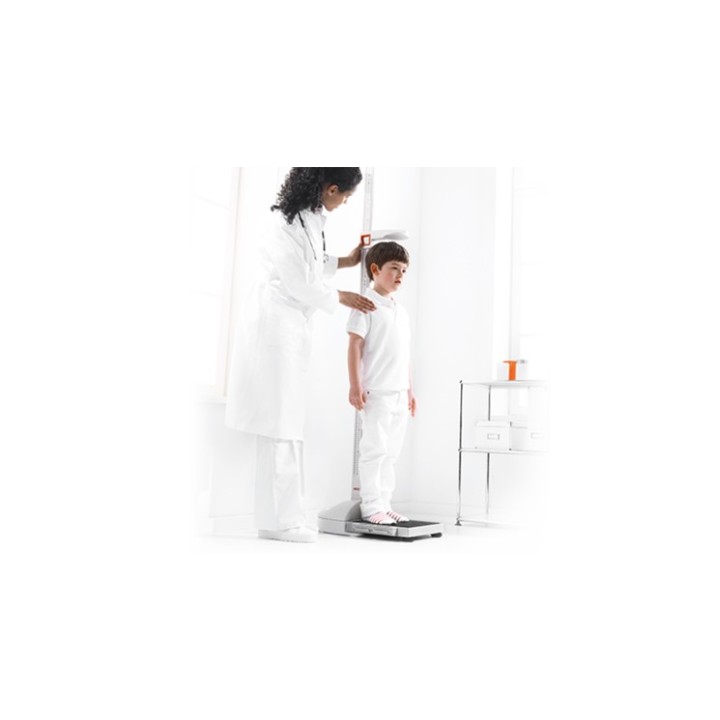 seca 899 Flat scale