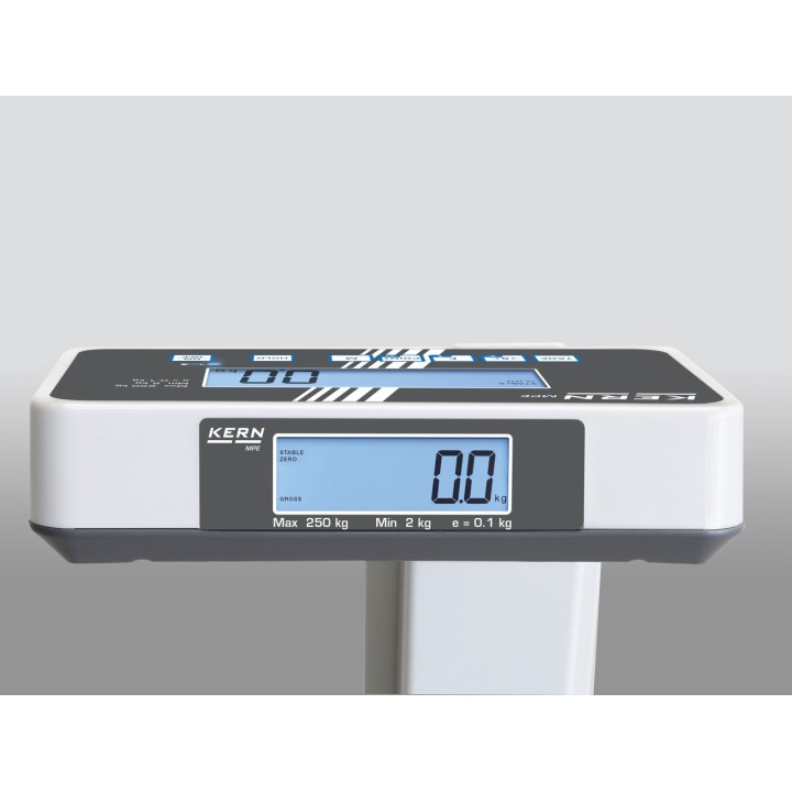 Personal floor scale MPE 250K100PM Approved