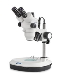 Microscopio con zoom estéreo KERN OZM 542 LED