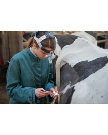 HEINE ML4 LED Kopfleuchte für Veterinär und Tierarzt