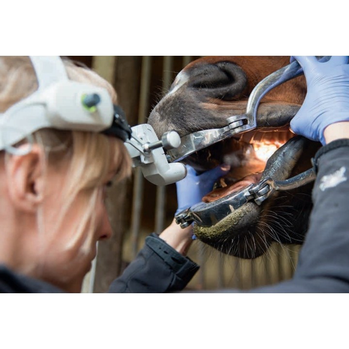 HEINE ML4 LED Headlight UNPLUGGED for veterinary