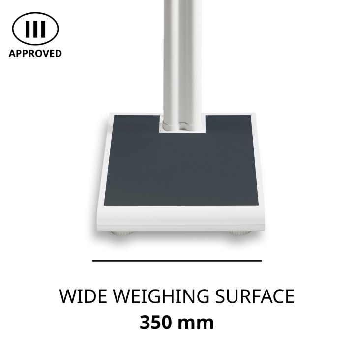 Approved column scale ADE M320000-01