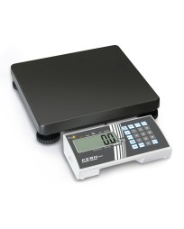 Bilancia da pavimento omologata KERN MPS 200K100M