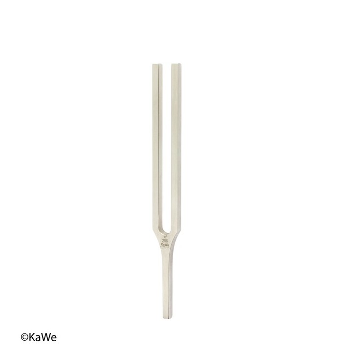 KaWe Stimmgabel Hartmann c1 256 Hz