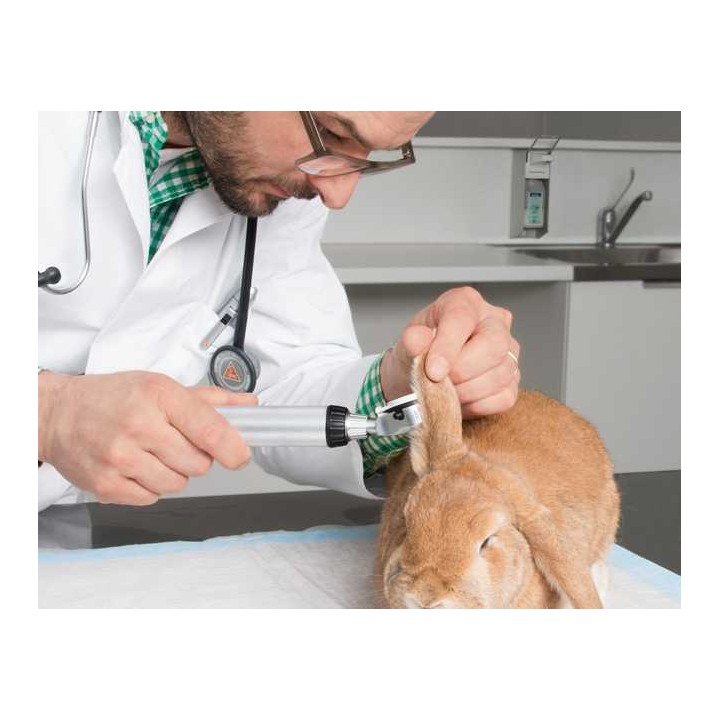 Otoscopio HEINE BETA 200 LED VET