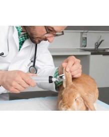 Otoscópio veterinário HEINE BETA 200 LED
