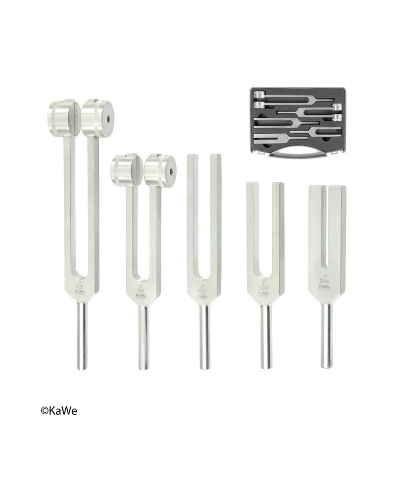 KaWe Aluminium tuning fork set in a case KaWe Aluminium tuning fork set in a case