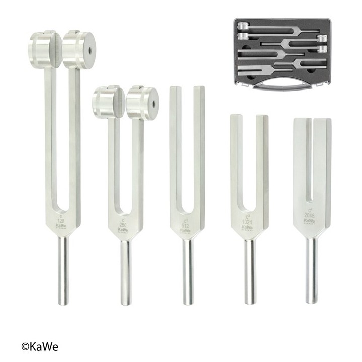 KaWe Set di diapason in alluminio in una custodia