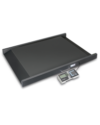 Bilancia per sedie a rotelle KERN MWS 400K100DM