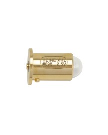 Ampoule de rechange HEINE XHL pour HSL 100 et 150