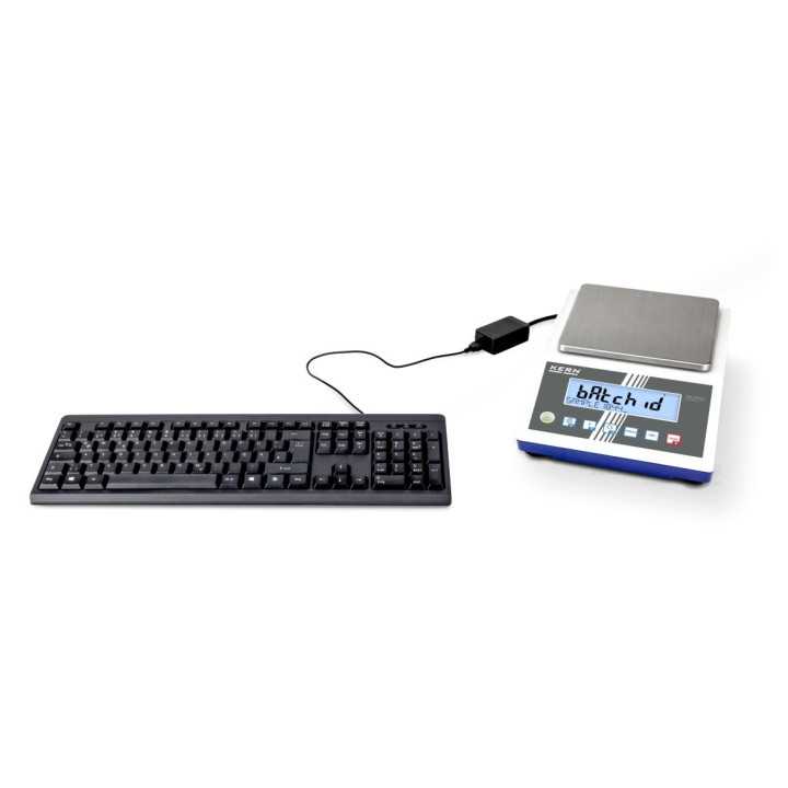 Balance de précision KERN PKS 300-2