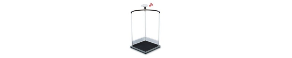 Handrail scales