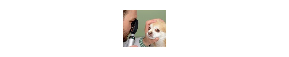 Produits vétérinaires pour examen de la vue