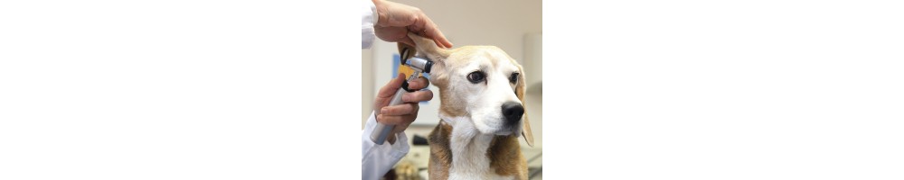 Productos veterinarios para examen de oído
